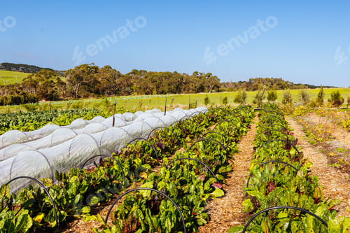 Preview: The Briars in Mount Martha Australia