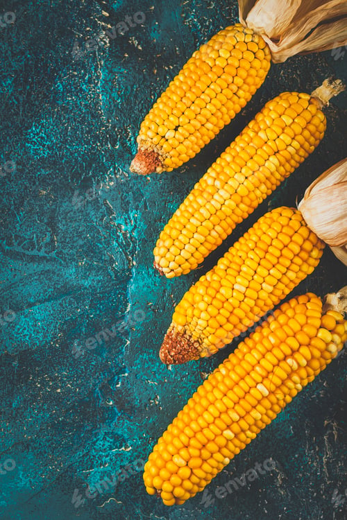 Preview: Ripe dried corn cobs