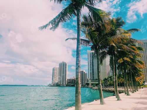 Preview: Downtown Miami view