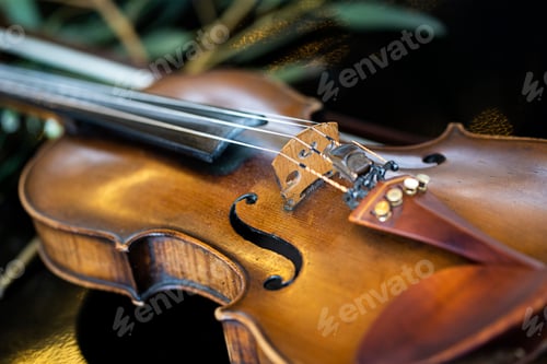 Preview: details of a vintage style violin with natural woods that provide a unique sound