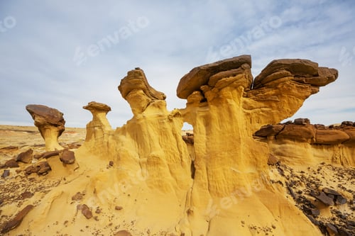 Preview: Bisti