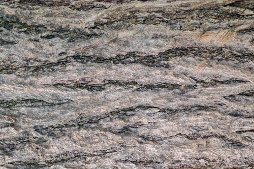 Preview: Close up wood bark texture background
