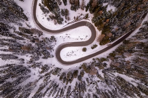 Preview: Hairpins in the forest