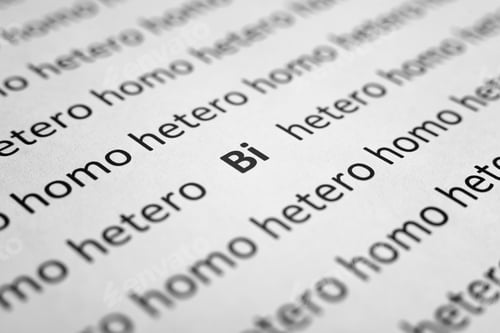 Preview: Sexual identity concept. Many printed words Hetero and Homo and one word Bi on white paper, close-up