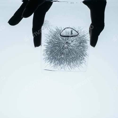 Preview: cropped view of person holding ice cube in water, isolated on white