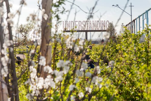 Preview: Understanding sign in Brooklyn New York (nominated on Mar 29)
nyc