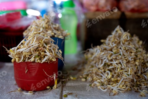 Preview: Bean Sprouts in a container