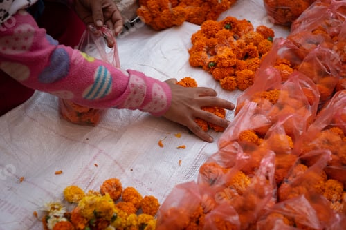 Preview: Unrecognized woman selling orange chrysanthemum flowers. Worker flower seller