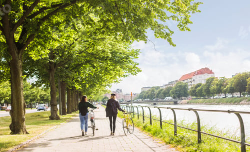 Preview: Two young women walking along river and pushing bikes