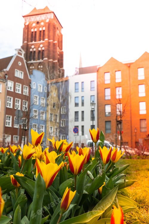 Preview: Looking towards St Mary's Church, Gdansk, Poland. Architecture of the St. Mary's Basilica Cathedral