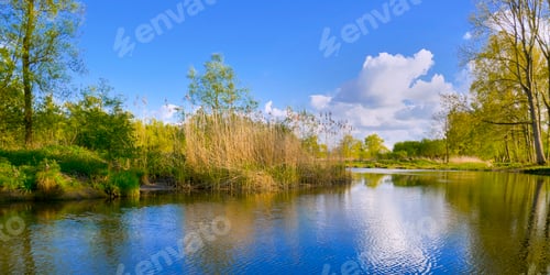Preview: Biesbosch National Park, Noord-Brabant Province, Netherlands