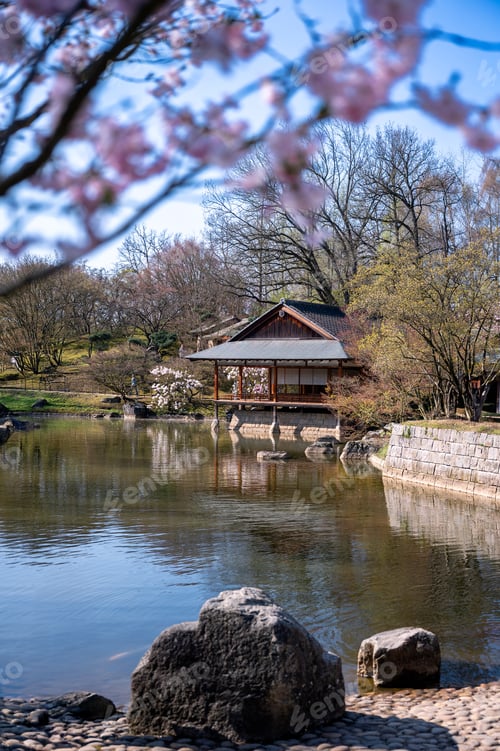Preview: Peaceful Japanese landscape setting. Tranquil traditional garden with water and blossoms