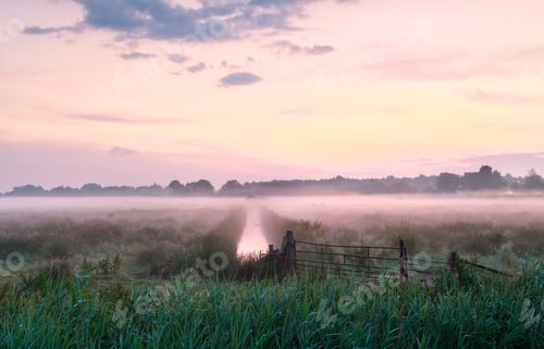 Preview: purple misty sunrise over meadow
