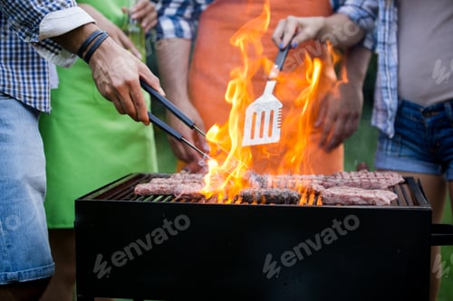 Preview: Friends having a barbecue party in nature