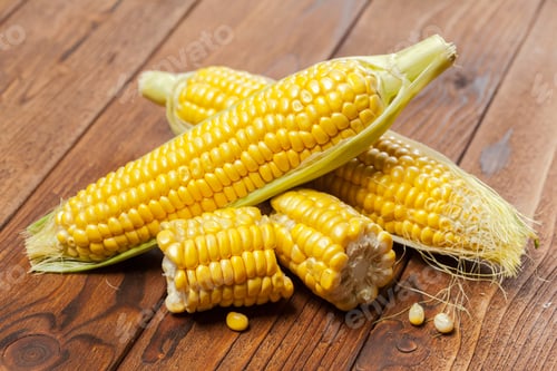 Preview: Fresh Corn Cobs on Rustic Wood Table