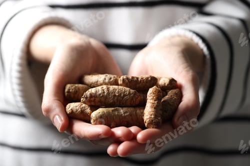 Preview: Woman holding raw turmeric roots, closeup view