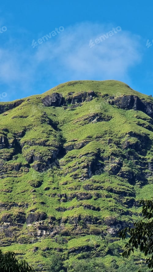 Preview: Lush green mountain under clear blue sky