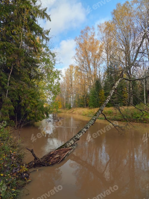 Preview: Forest river in autumn: nature of Northern Europe, Finland.