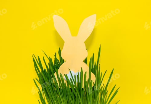 Preview: Paper Cut Rabbit in the Grass.