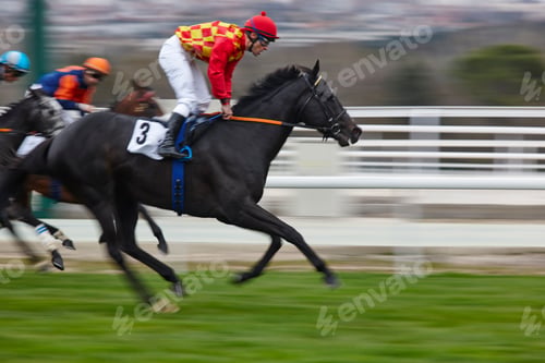 Preview: Horse race final rush. Competition sport. Hippodrome. Winner. Speed background