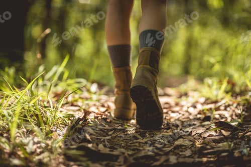 Preview: Woman hiker hiking on forest trail