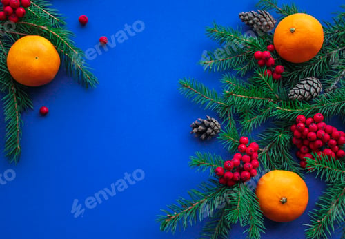 Preview: Organic Christmas: fir branches, cones, rowan berries, tangerines. Blue background. Copy space