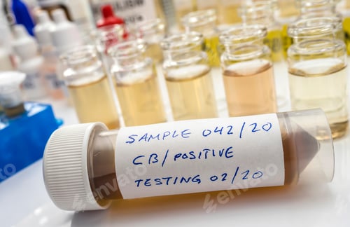 Preview: Samples contaminated by Clostridium botulinum toxin that causes botulism in humans