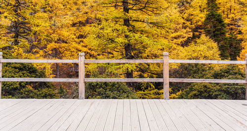 Preview: Scene of sunset at The mountain in autumn season in yading nature reserve, Daocheng County