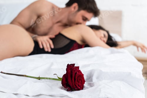 Preview: Selective focus of red rose near passionate couple on bed