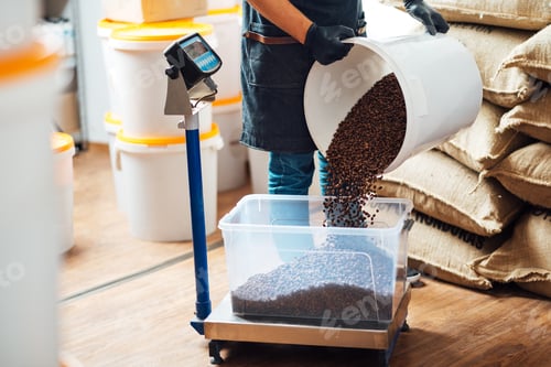 Preview: a worker pours roasted coffee beans from a bucket into a tray on a weighing scale