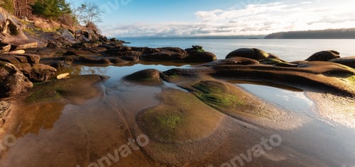 Preview: Rocky Shore on the Ocean Coast. Canadian Nature Background.