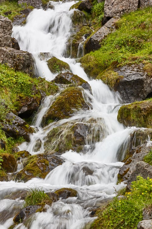Preview: Creek flowing on a green rocky hill. Seydisfjordur area. Iceland.
