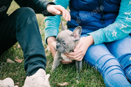 Preview: Children playing with puppy on grass