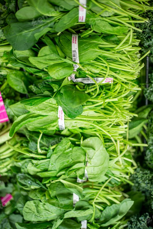 Preview: fresh herbs