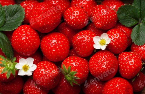 Preview: Ripe garden strawberry