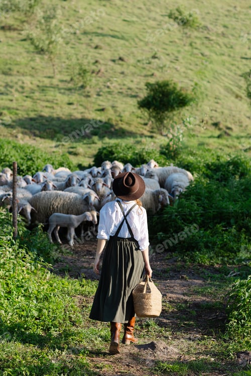Preview: Farmer walking away from flock of sheep in green field