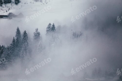 Preview: Winter postcard.