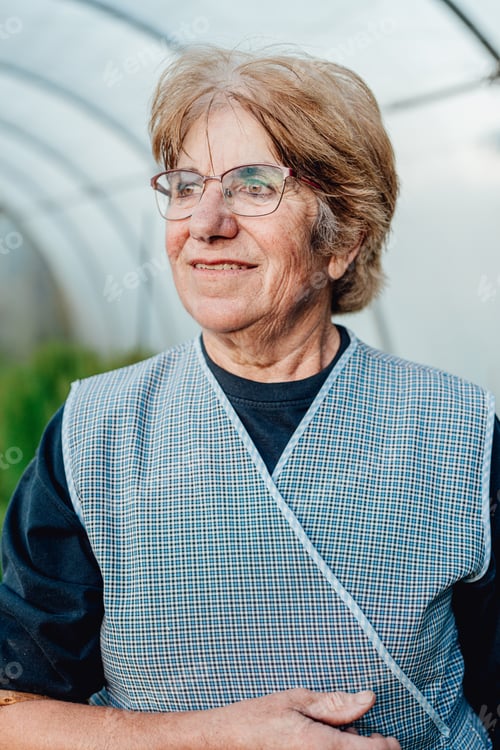 Preview: Very old woman working in her greenhouse and grows tomatoes. Hobbies for the elderly concept.