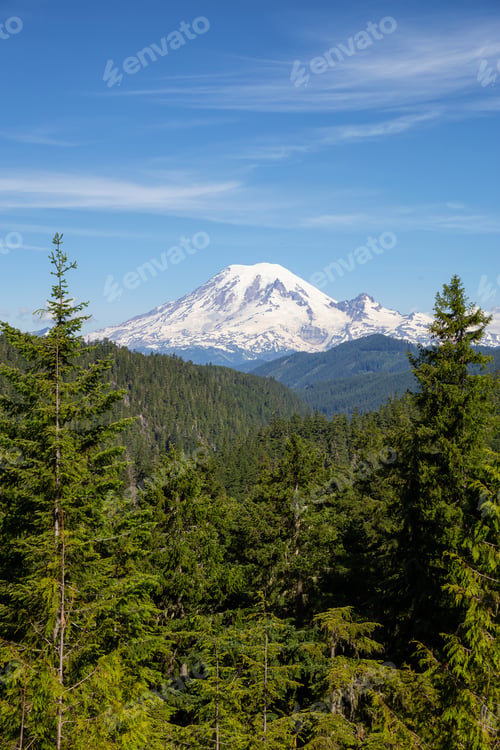 Preview: American Mountain Landscape view during a sunny summer day