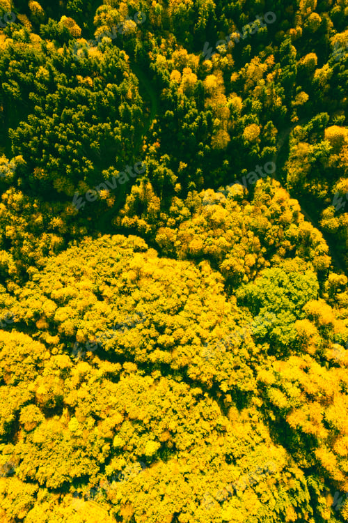 Preview: Aerial view of autumn forest in South styria Green hart of Austria