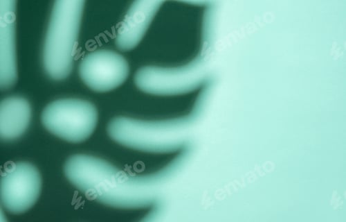 Preview: Shadows from monstera leaves