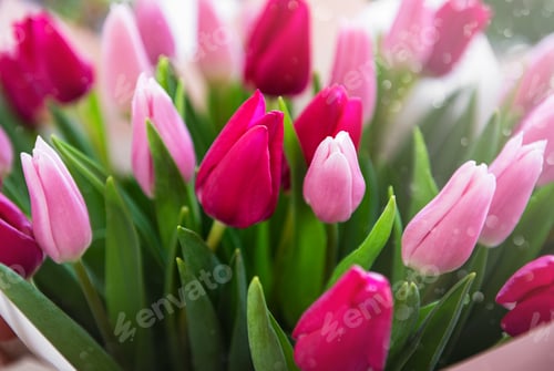 Preview: Spring tulips