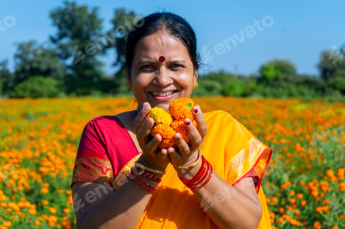 Preview: Indian woman collect marigold flower in beautiful garden.