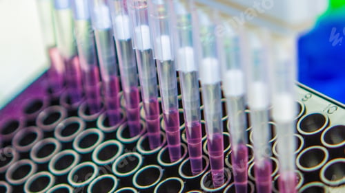 Preview: Science and Biotechnology, Laboratory Research, Cell Culture. Cells Biological Culture Concept