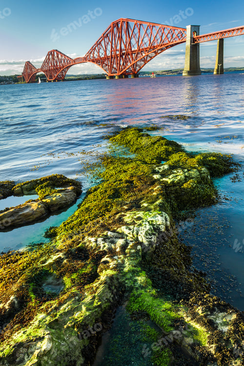 Preview: Seaweed and Forth Road Bridge in Scotland