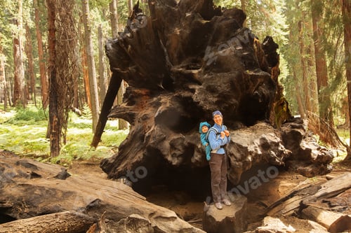 Preview: Mother With Infant Visit Sequoia National Park In California, Usa