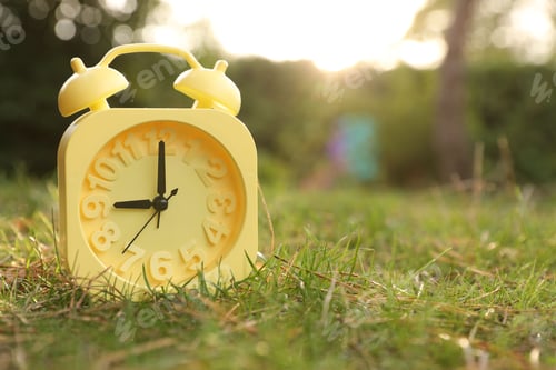 Preview: Yellow alarm clock on green grass outdoors. Space for text