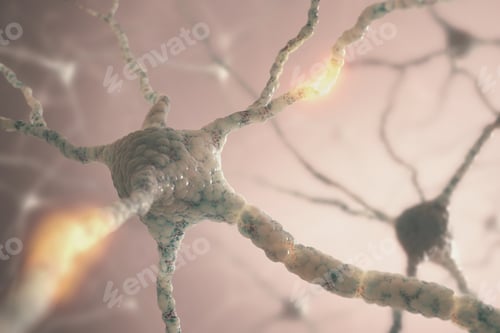 Preview: Neurons