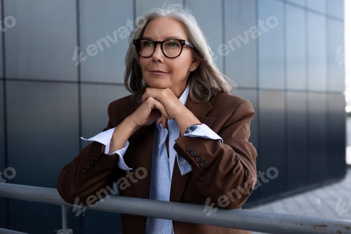 Preview: confident well-groomed old lady with gray hair in glasses is dressed in a brown jacket and shirt