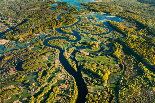 Preview: Aerial View Green Forest Woods And River Landscape In Sunny Spring Summer Day. Top View Of Nature